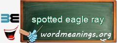 WordMeaning blackboard for spotted eagle ray